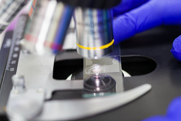 Scientist hands with microscope, examining samples, Concept science and Technology
