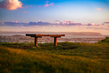 bench in the park