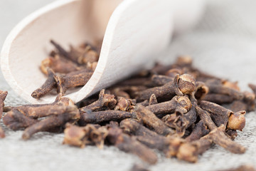 dry spice