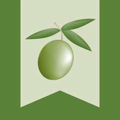 olive ribbon design