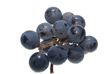 grapes isolated on white background