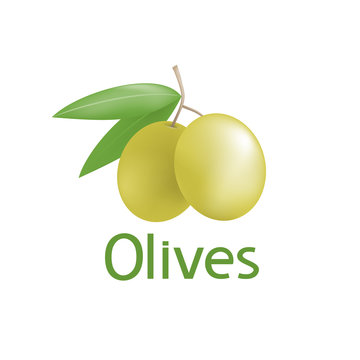 nature olive illustration