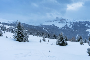 Fototapeta na wymiar Winterliche Berglandschaft