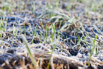 Snow drifts in winter