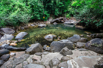 Natural view close-up There are a lot of fish swimming in the clear waters, a rich background of rocks, and a variety of fish, which are beautifully ecologically sound.