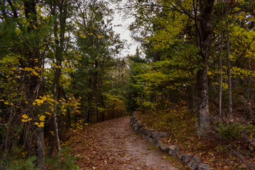 Forest trail at Lumbermans Monument, in Huron National Forest. Located in Northern Michigan