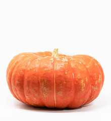 Obraz premium Orange edible pumpkin (grown for pies) isolated on white background.