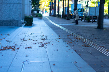 秋　寂しい　帰り道