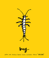 곤충 일러스트 / 손으로 그린 곤충 스케치