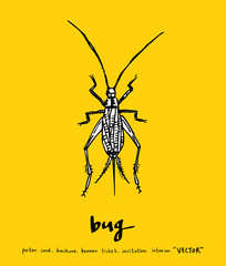 곤충 일러스트 / 손으로 그린 곤충 스케치