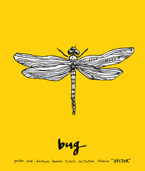 곤충 일러스트 / 손으로 그린 곤충 스케치