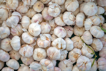 Organic raw garlic at farmers market in California