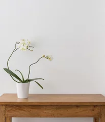 Papier Peint photo Lavable Orchidée Orchidée phalaenopsis blanche en pot sur une table d& 39 appoint en chêne en bois contre un mur blanc avec espace de copie