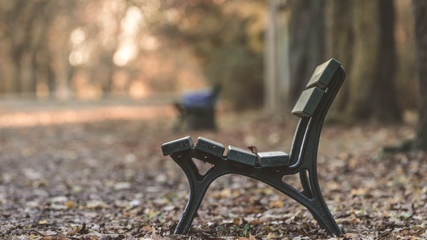 Empty bench on a morning in autumn - 230938955