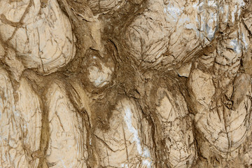 Mountain Landscpae with Blue Sky