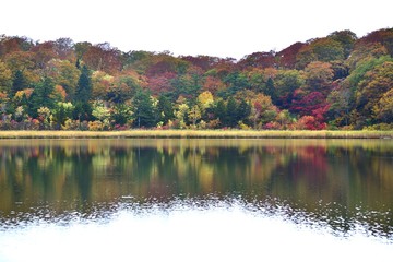 八幡平大沼のカラフル紅葉