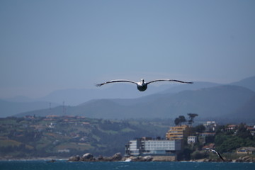 Obraz premium Planeo en Concón