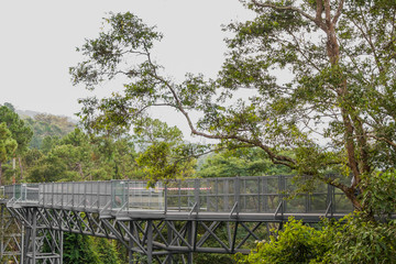 Iron Bridge across the mountain to nature.