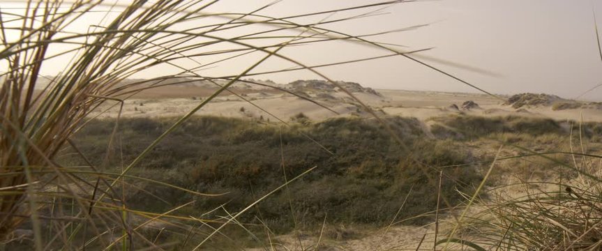 beach in autumn - denmark