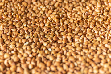 Groat buckwheat raw macro. Diet food concept. Background with focus shallow depth of field.