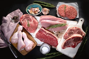 Crédence de cuisine en verre imprimé Viande Different types of raw meat