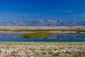 Obraz premium Veliko blato bird reserve on Pag island