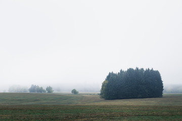 Jahreszeit Herbst mit mystischen Nebel