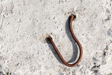 metal hook