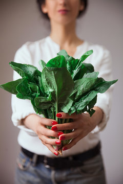 Young woman hands with spinach