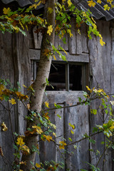 Image of the wall of an old wooden house.