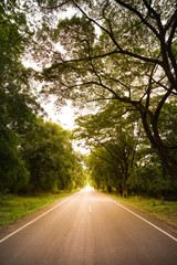Fototapeta premium New asphalt highway to nature in the scenery at sunset.
