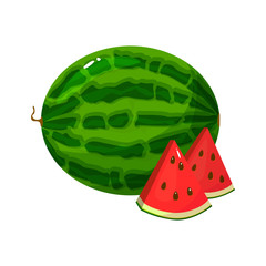 Cartoon fresh watermelon isolated on white background