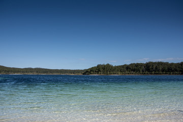 Fototapeta premium Lake Mackenzie on Fraser Island, Queensland, Australia on a clear and sunny day