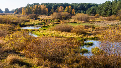 Jesień nad Narwią  © podlaski49
