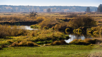 Jesień nad Narwią  © podlaski49