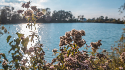 Beautiful view near Wallersdorf - Bavaria - Germany