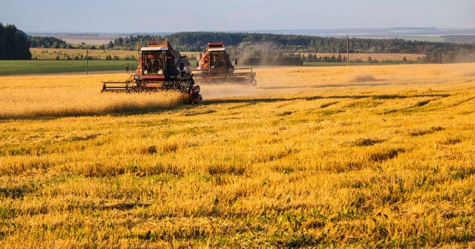 Combine harvester. old combine harvester working on the wheat field Kombain collects on the wheat crop. Agricultural machinery in the field.
