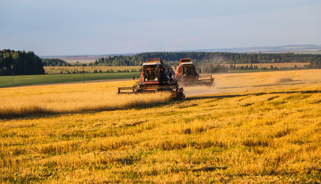 Combine harvester. old combine harvester working on the wheat field Kombain collects on the wheat crop. Agricultural machinery in the field.