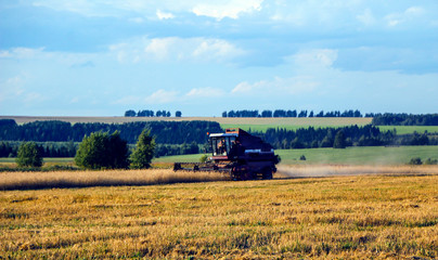 Combine harvester. old combine harvester working on the wheat field Kombain collects on the wheat crop. Agricultural machinery in the field.