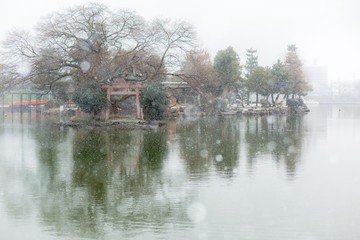 Fototapeta premium 冬景色の天王川公園