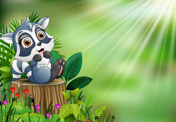 Cartoon of baby raccoon sitting on tree stump with green leaves and flowering plant