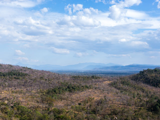 Fototapeta na wymiar Arid climate forest in Thailand