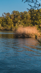 Smartphone HD wallpaper of beautiful reflections near Zeholfing - Isar