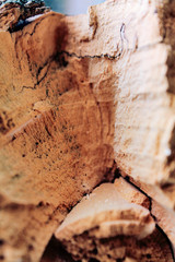 a piece of wood closeup
