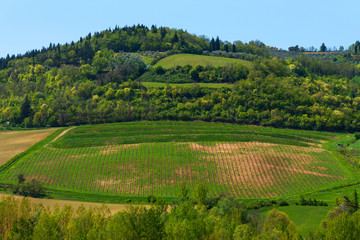 Fototapeta na wymiar Beautiful Tuscany landscape with vineyards in Chianti in spring. Tuscany, Italy