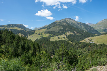 Fototapeta premium River on the road to Montgarri from the valley of Aran