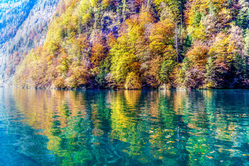 Autumn colors 