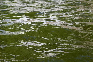 A close view of the waves and ripples of the water surface. 