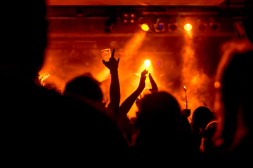 atmosphere at the concert