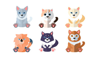 Cute cats set, cartoon animals pets sitting vector Illustration on a white background